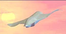 Foto:  Copyright CSIRO Australia, 1997-2003