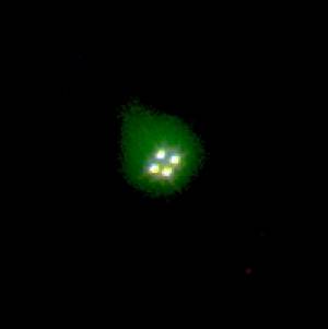 Foto: NRAO/AUI/NSF, STScI